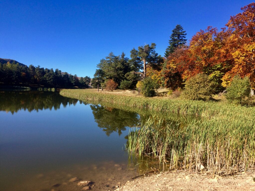 Lac des Monges et forêt d'automne