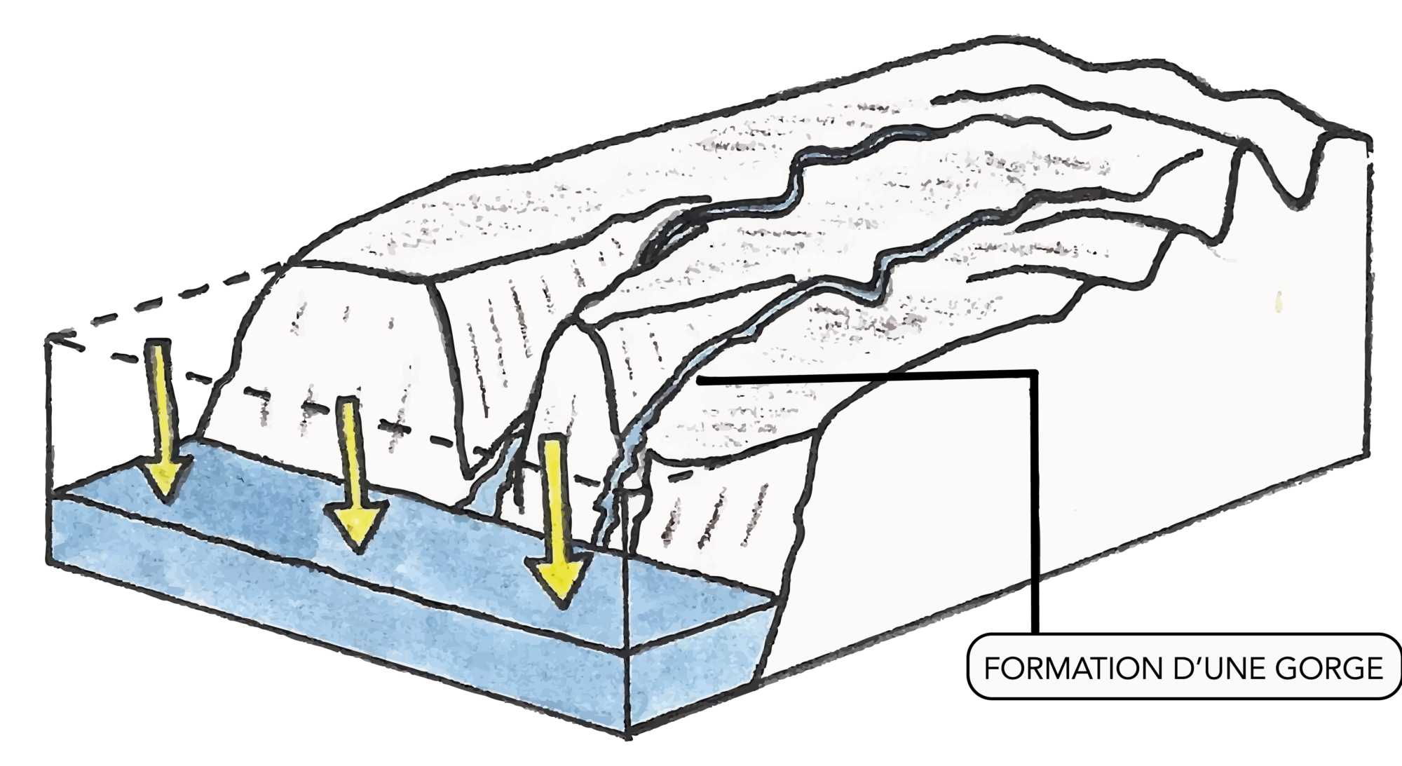 Géologie - Formation d’une gorge : la Méouge