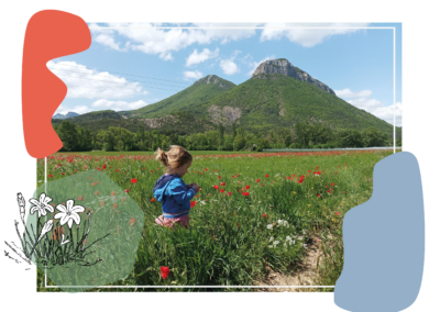 Sortie scolaire et classe découverte Alpes Provence - Les plantes à fleurs